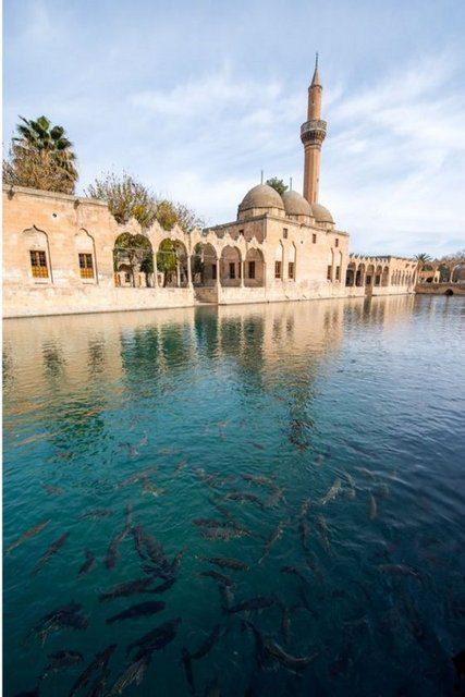 <p>Mark Edward Harris - Urfa</p>