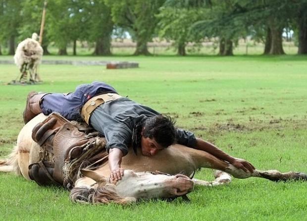  32 yaşındaki Arjantinli şovmen Martin Tatta, 'dünyanın en iyi at fısıldayıcısı' olarak tanınıyor.