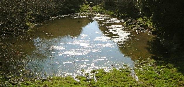 <p>11-Bataklıkların kurutulması</p>

<p>Peygamberimiz (sallallahü aleyhi ve sellem), bataklıkların, sıtma başta olmak üzere bazı hastalıklara yol açmayacak duruma getirilmesi gerektiğini şu hadîse ile ifade etmiştir: Hz. Aişe Mekke'den Medine'ye geldiklerinde Medine, Arabistan mıntıkasının en hastalıklı yeri idi. Efendimiz (sallallahü aleyhi ve sellem) Buthan vadisinin kurutulması için tavsiyelerde bulunmuştur (Buhari, Müslim, Dârimi, Mâce, K.Ummal, Ramuz, L. Ukul).</p>
