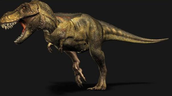 <p>Tyrannosaurus Rex (T-Rex) Jura Devrinin sonları (150 milyon yıl önce) ile geç kalkolitik dönem sonu (65 milyon yıl önce) arasında yaşayan Tyrannosaurus, dünya üzerindeki en büyük etçildi. Yaklaşık 7 metre boyunda ve 4-7 ton ağırlığındaki T-Rex, güçlü arka ayakları üzerinde yürüyor, dengesini büyük kuyruğu ile sağlıyordu. T-Rex, günümüzde en çok ilgi çeken dinozor türü olarak biliniyor. Dişileri erkeklerinden daha büyüktür ve bir ısırıştır ortalama 250 kg kemikli et yiyebiliyordu.</p>
