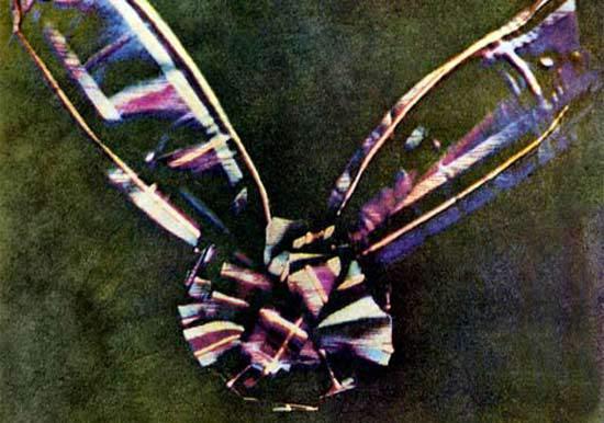 <p>İlk Renkli Fotoğraf 1861′de İskoç fizikçi James Clerk Maxwell siyah-beyaz fotoğrafı 3 ayrı filtreden geçirerek renkli kareye ulaştı. Kaynak: Dünyanın ilk fotoğraf çekimleri fotoğraf tarihi fotoğraf belgeseli</p>
