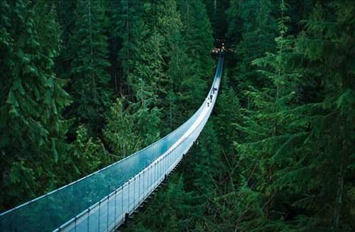Capilano köprüsü, Vancouver - Kanada