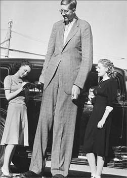 En uzun boylu insan 1940 yılında ölen 2.72 metre boyunda ABD`li R.P. Wadlow olmuştur.