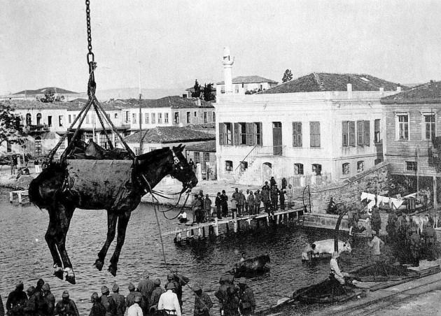 <p>16. Bir atın nakledilmesi<br />
<br />
Avusturya-Macaristan ordusuna ait ekipmanlar Çanakkale'de indiriliyor. </p>