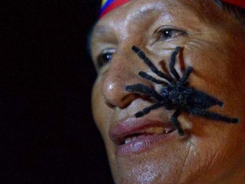 <p><strong>En ilginç rekorlar</strong><br />
<br />
Ekvador´dan Gabriel Guallo. Deliliğin vücut bulmuş hali. Vücudunda 250 tarantula taşıma rekoru.</p>
