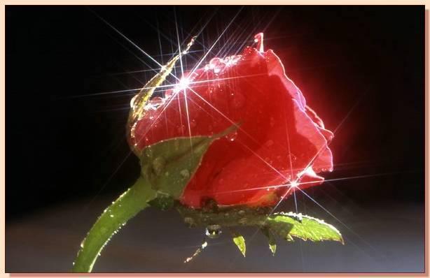 Hz. Davud (A.S), Ulu Allah (C.C) 'a: &laquo;seni &ouml;zleyenler kimlerdir&raquo; diye sorar