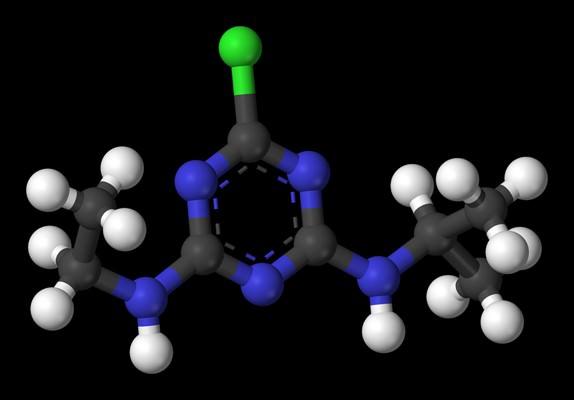 <p><strong>Atrazin</strong><br />Genellikle mısır, şeker kamışı ve bazı bitkilerde bulunan bu ilaç hücrenin mitokondriyal fonksiyonunu bozuyor ve hayvanlarda insülin direncine neden oluyor. Özellikle mısır alırken organik mısır almaya özen gösterin.</p>