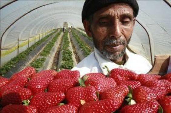 <p>Yunanistan<br />
Erkek Resmi emeklilik yaşı: 58<br />
Emekli olunan yaş: 62.4<br />
Kadın Resmi Emeklilik yaşı: 58<br />
Emekli olunan yaş: 60.9</p>
