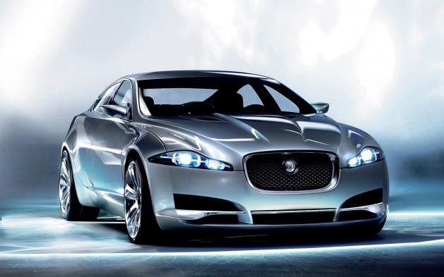 <p>Jaguar - 8 Adet</p>
