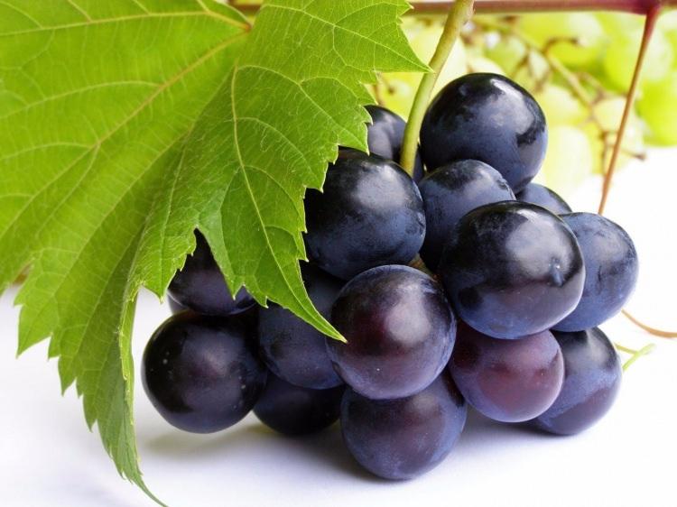 <p>Buna karşın glisemik indeksi yüksek bir meyve. Beslenme ve Diyet Uzmanı Neşe Ceylan "Fruktoz içeriğinin ve vücut tarafından kan şekerine karışım hızının yüksek olduğu unutulmamalı.</p>