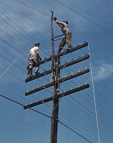 <p>Elektrikçi: Yüzde 3,1</p>
