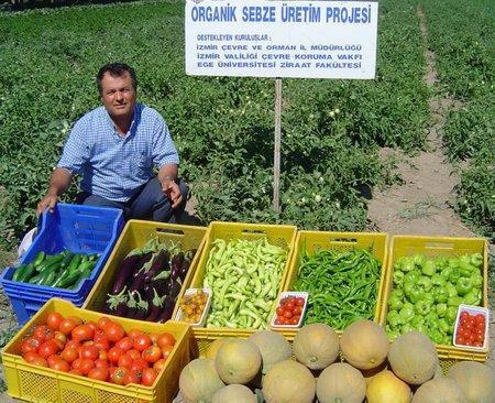 Üretim sektörü ücret artışı 2012 yılında yüzde 10,7 olarak belirlenirken, bu oran 2013 yılında yüzde 8,6’ya düştü.