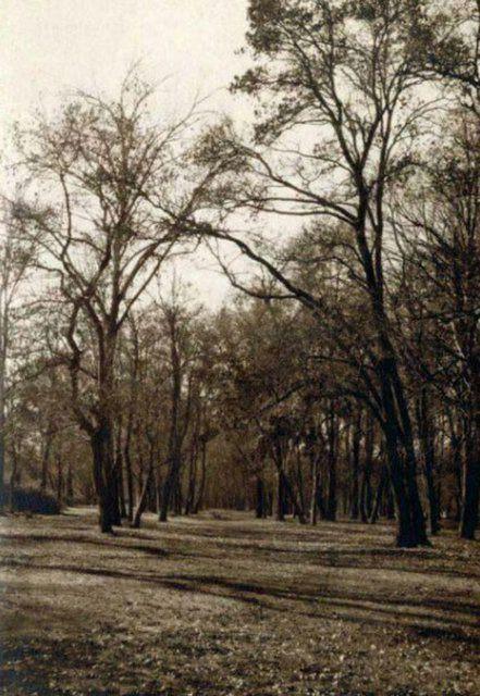 <p>Kağıthane Sadabad (1940'lı yıllar)</p>