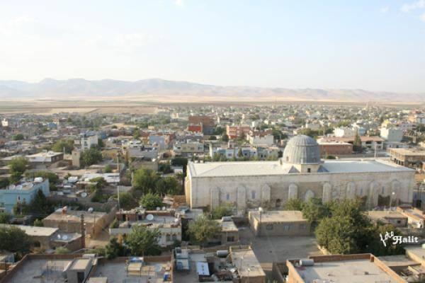 <p>Kızıltepe - 39 adet</p>