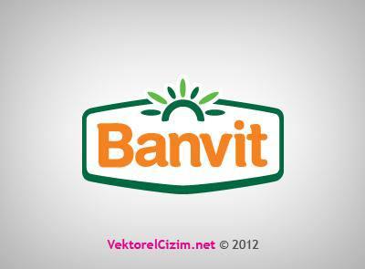 BANViT