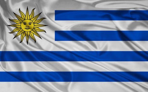 <p><strong>Uruguay</strong></p>

<p>1915 olaylarını "soykırım" olarak tanıyan ilk ülke Uruguay oldu. Uruguay parlamentosu 1965 yılında 1915 olaylarına "soykırım" dedi.</p>
