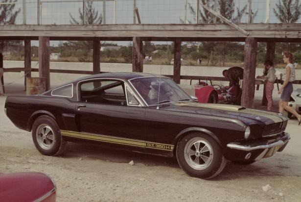 <p>Ford Mustang Shelby GT-350H - 1966</p>
