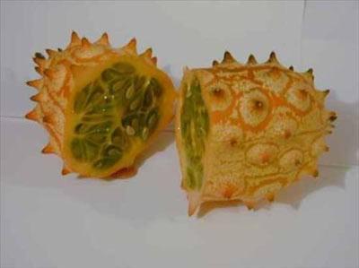 <p>Boynuzlu Kavun-Afrika salatalığı-Horned Melon: Afrika salatalığı olarak da bilinen kavun, yılda bir kere meyve veren bir asma türüdür. Afrika anavatanıdır ama Kaliforniya, Avustralya, Yeni Zellanda ve Şili'de de bulunur. Olgunlaştığında kalın sivri kabuğu oluşur. Eti parlak yeşil, jöle kıvamındadır. Tadı muza benzesede de çekirdekleri bakımından domates ve salatalığı andırır. Sivri çıkıntılı kabuğu yenebilir, C vitamini ve lif bakımından zengindir.</p>