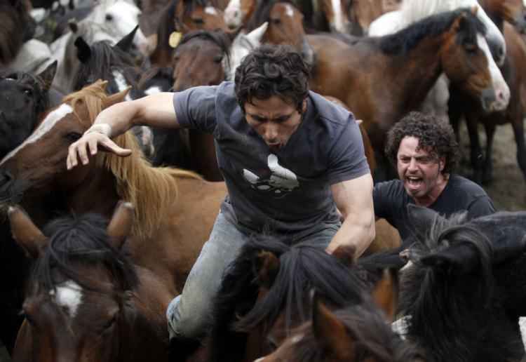 <p>Yeleleri kesilecek atlar, Galiçya bölgesindeki çeşitli alanlara sürülerek bir araya toplanıyor.</p>
