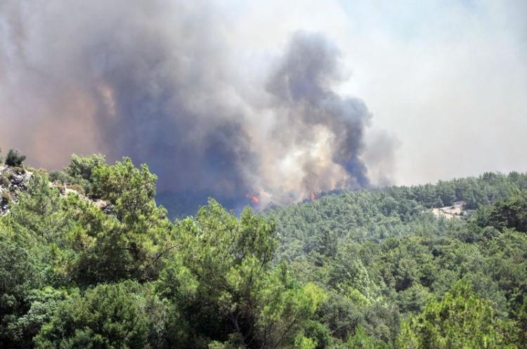 <p>ANTALYA'nın Kumluca İlçesi'nde tatil merkezi Adrasan'da bugün saat 11.00 sıralarında orman yangını çıktı. İlk belirlemelere göre yangında 3 ev zarar gördü.</p>
