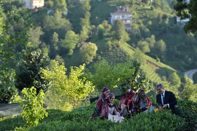 <p><span>Rize'de ÇAYKUR Araştırma Enstitüsü'ne ait çay bahçesine giden Cumhurbaşkanı Gül, yöresel kıyafetli kadınlarla bir süre sohbet etti ve çay topladı.</span></p>