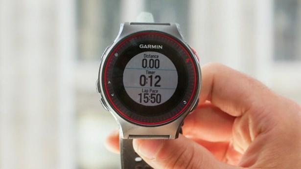 <p>Garmin Forerunner 225</p>

