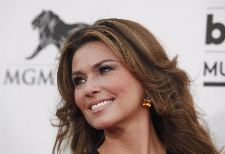 <p>Shania Twain 27,5 milyon dolarla dokuzuncu sırada.</p>
