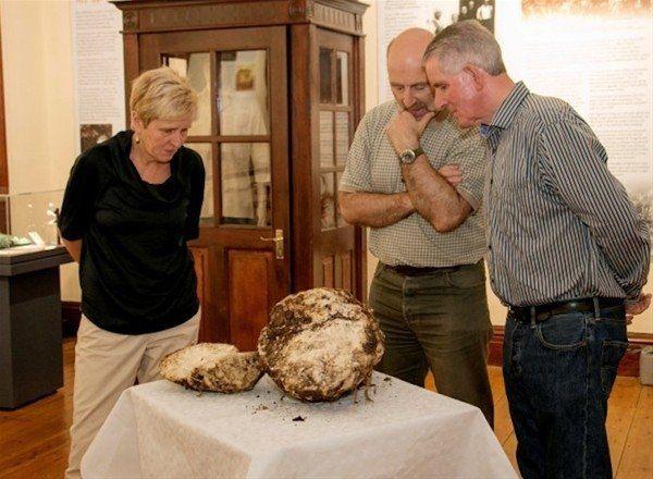 <div>Geçtiğimiz günlerde İrlanda'nın Drakerath isimli yerleşim bölgesindeki bir bataklıkta 2 bin yaşında, 10 kg ağırlığında tereyağı bulundu. Teoride (doktorlar denenmesini önermiyor) halen yenilebilir durumda olan tereyağı bölgedeki tarihi dokuyu koruma ve araştırma çalışmaları sırasında fark edildi.Cavan County Müzesi'nde sergilenmeye başlanan tereyağının bir zamanlar vergilerin, kiraların ödenmesi için kullanılan değerli bir ürün olduğu müze yetkilileri tarafından ifade ediliyor. Bir diğer yorum da tereyağının o dönemde Tanrılara bir adak olarak sunulduğu yönünde şekilleniyor. Hatta tereyağlarının bataklıklara gömülmesini de bu teoriyi destekleyen bir durum olarak görüyorlar.</div>
<div> </div>