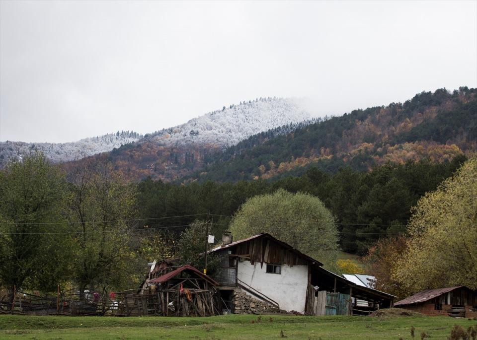 <p>BOLU</p>
