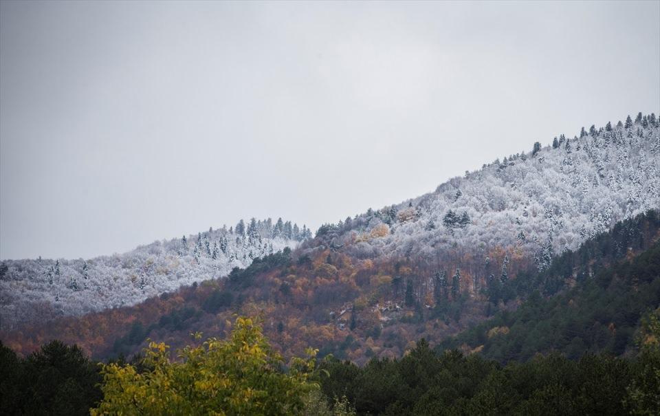<p>BOLU</p>
