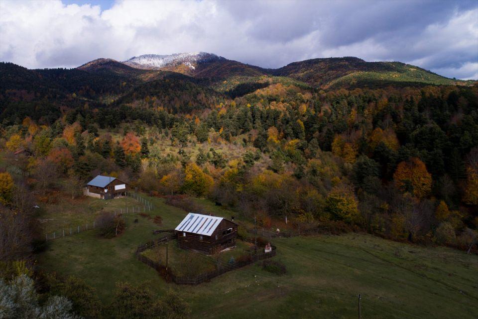 <p>BOLU</p>
