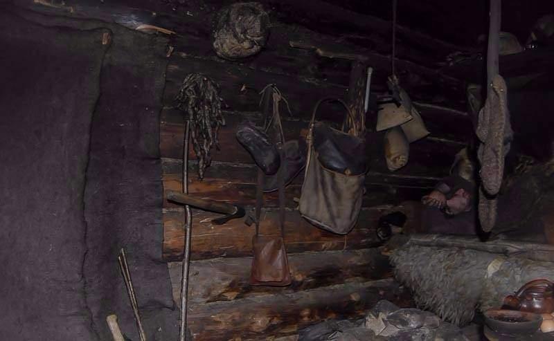 <p>Fotoğraflar Moskova&rsquo;nın 70 km kuzeydoğusunda yer alan &ldquo;Sergiyev Posad&rdquo; ormanında &ccedil;ekildi.</p>
