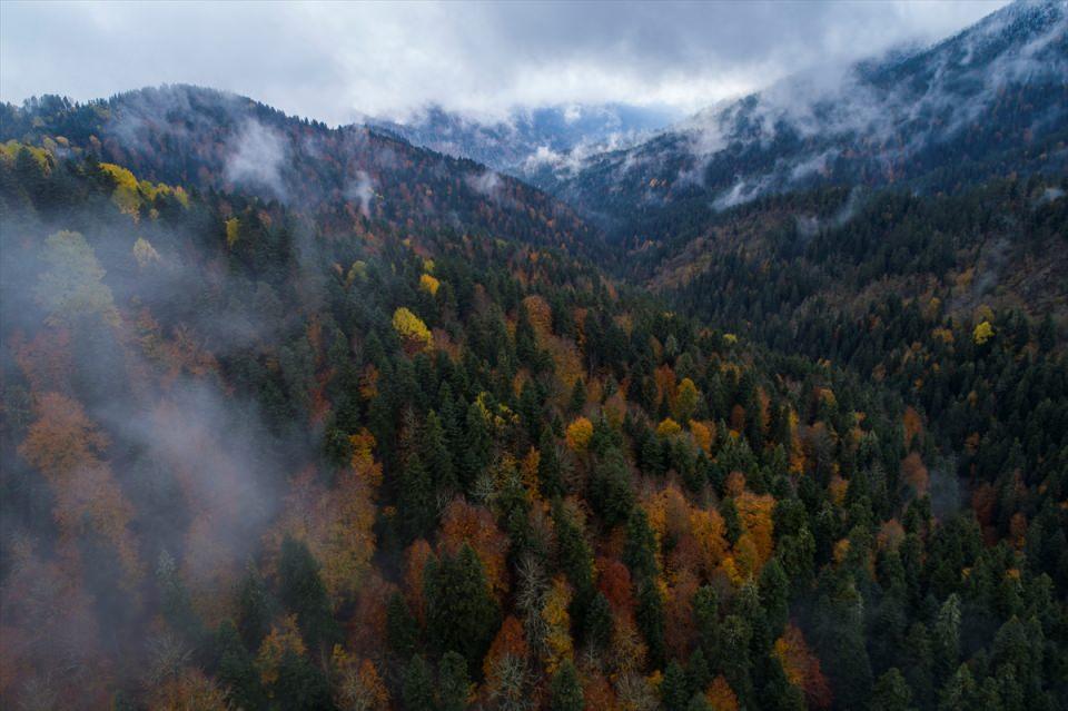 <p>BOLU</p>
