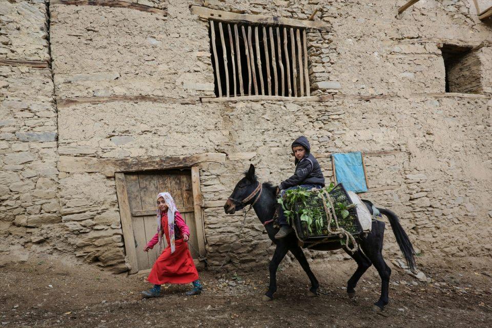 <p>BİTLİS</p>
