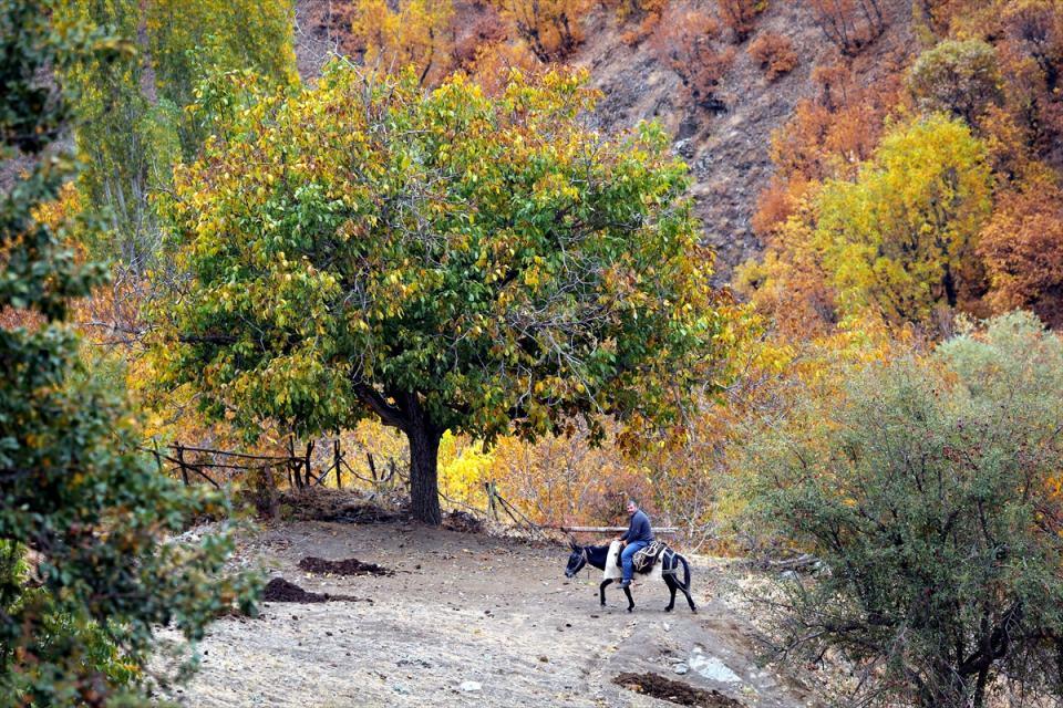 <p>BİTLİS</p>
