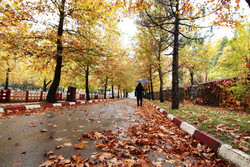 <p>KONYA</p>
