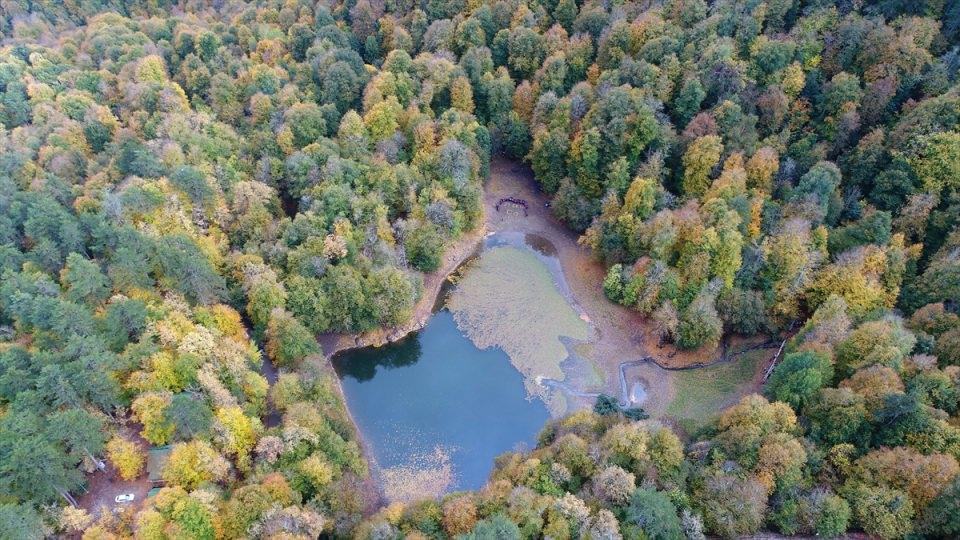 <p>Batı Karadeniz Bölgesi’nde Bolu’nun 42 km. kuzeyinde yedi adet gölün yer aldığı doğal güzellikleri ile ünlü Yedigöller Milli Parkı, sonbaharın renklerine büründü.</p>
<p> </p>