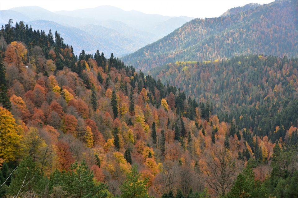<p>BOLU</p>
