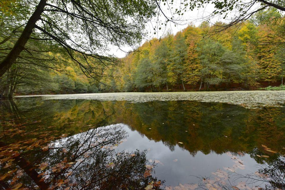 <p>BOLU</p>
