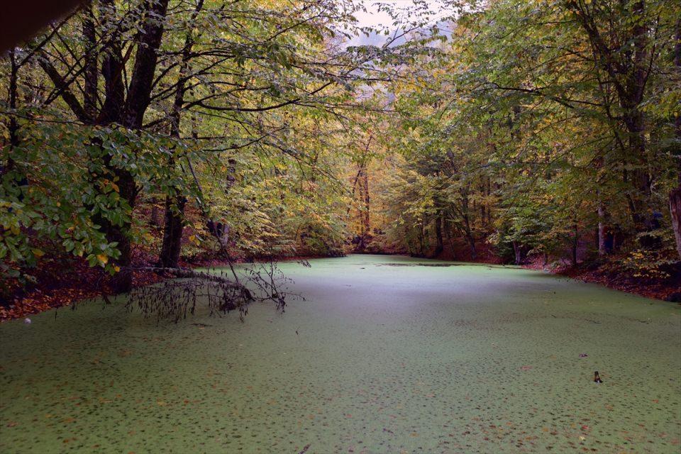 <p>BOLU</p>
