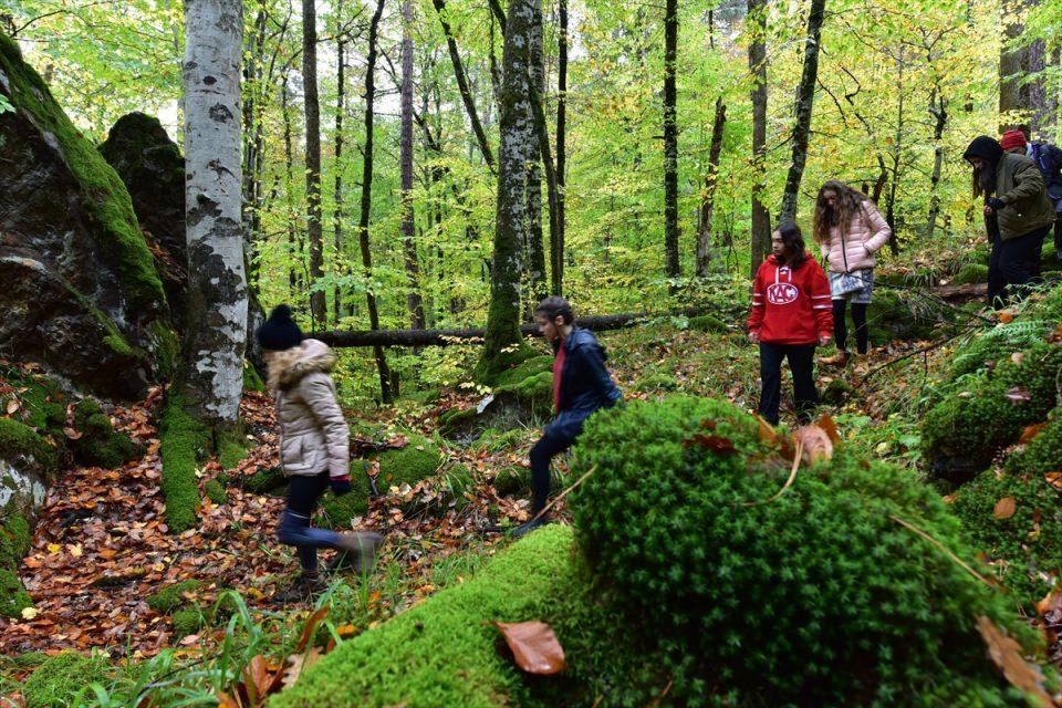 <p>BOLU</p>
