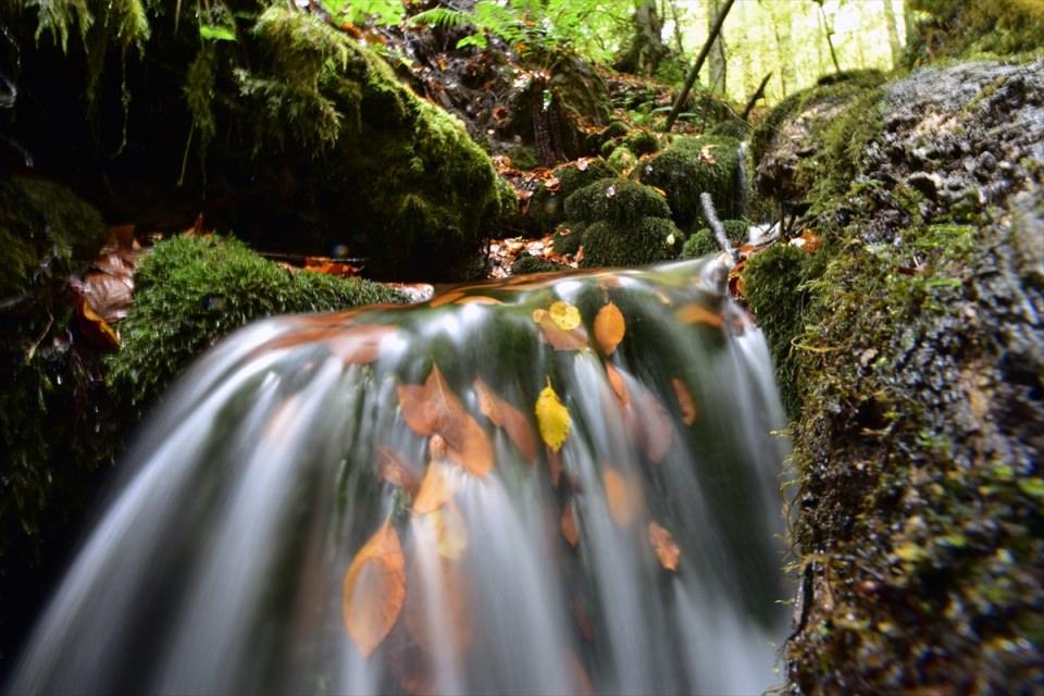 <p>BOLU</p>
