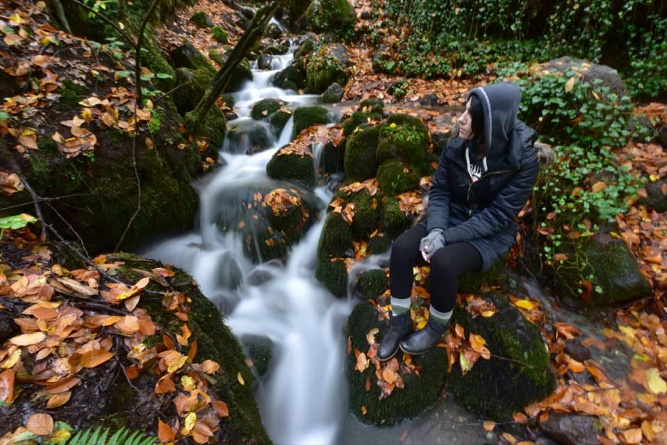 <p>BOLU</p>
