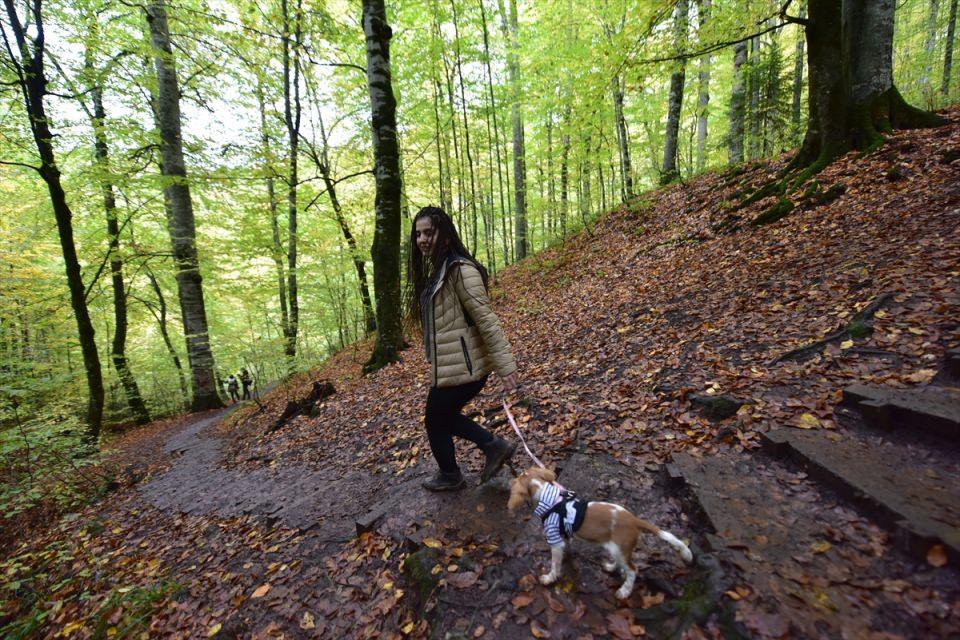 <p>BOLU</p>
