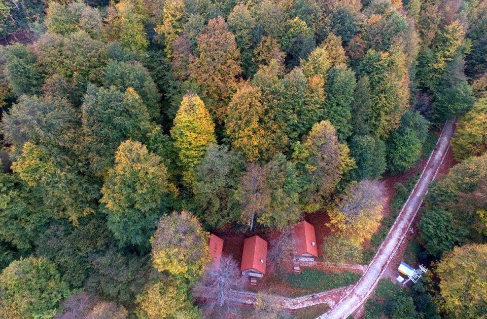 <p>DÜZCE</p>
