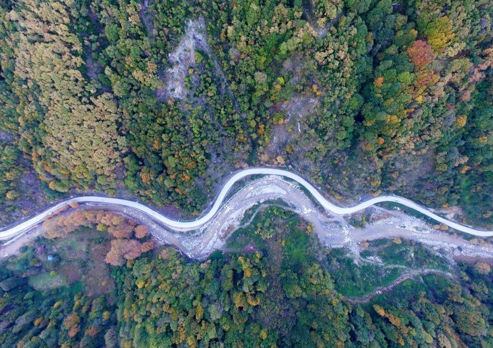 <p>DÜZCE</p>
