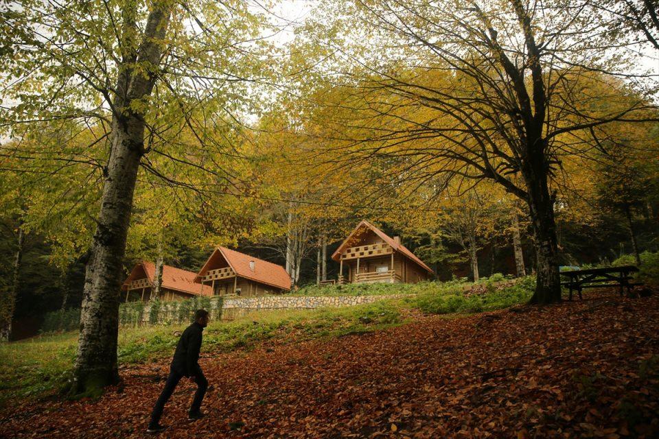 <p>DÜZCE</p>
