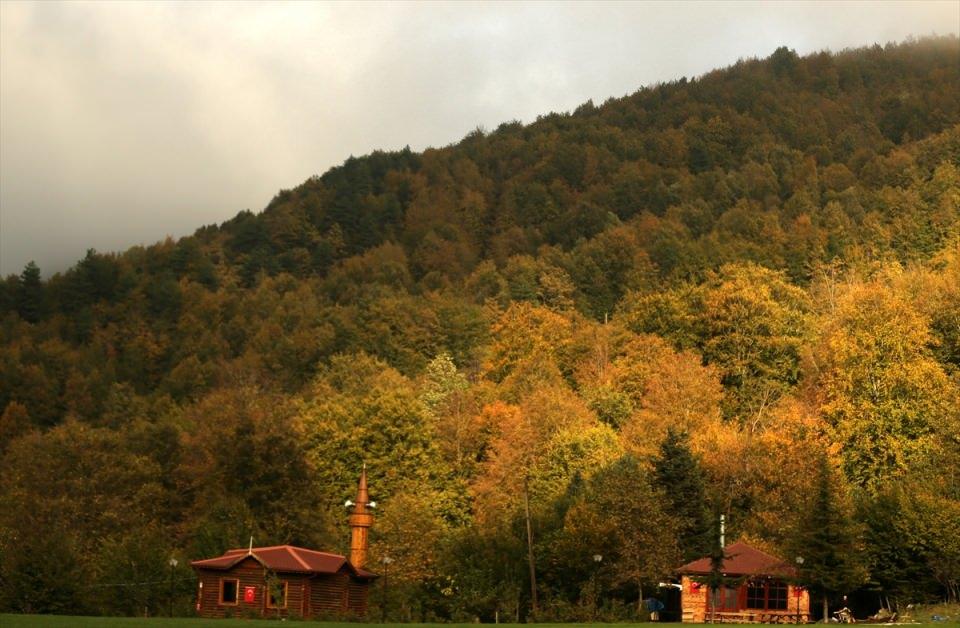 <p>DÜZCE</p>
