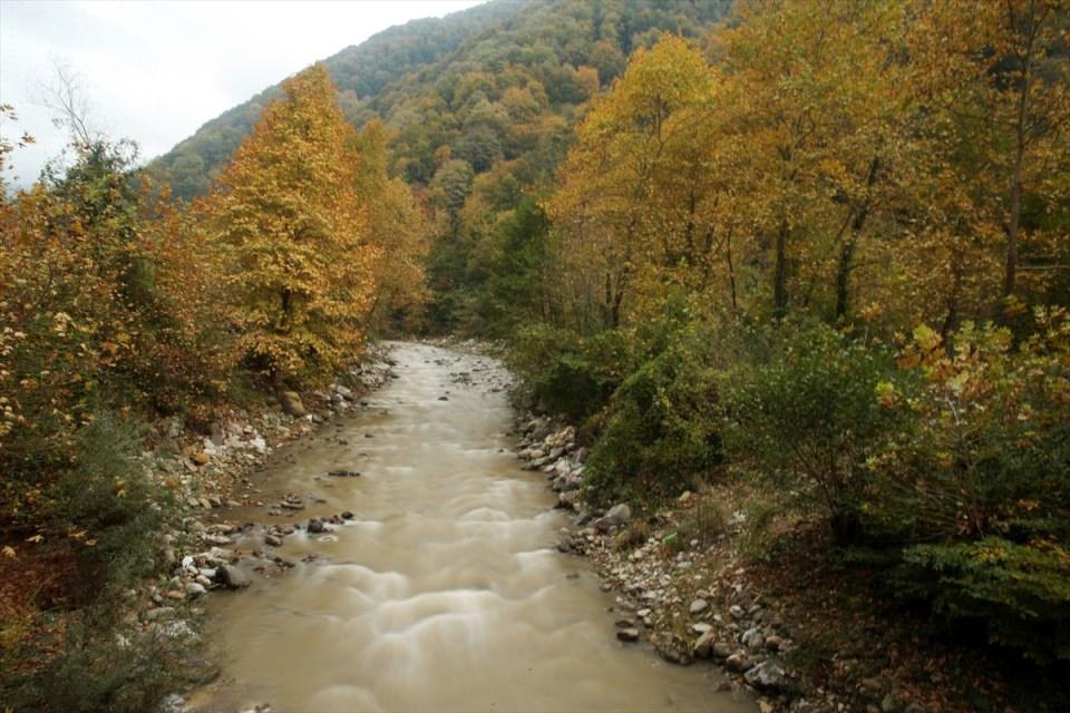 <p>DÜZCE</p>
