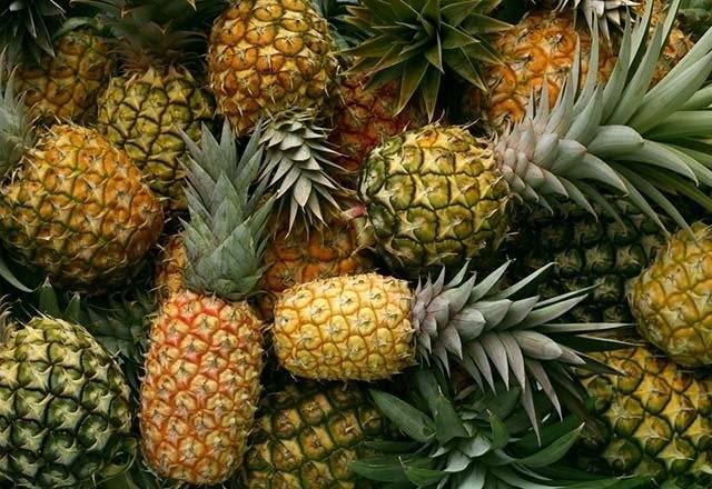 <p><strong>Ananas</strong></p>

<p>Ananas tüketilirken dil üzerinde yer alan tomurcukları geçiçi bir süreliğine işlevini kaybeder.</p>
